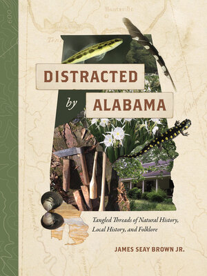 Distracted by Alabama - ebook